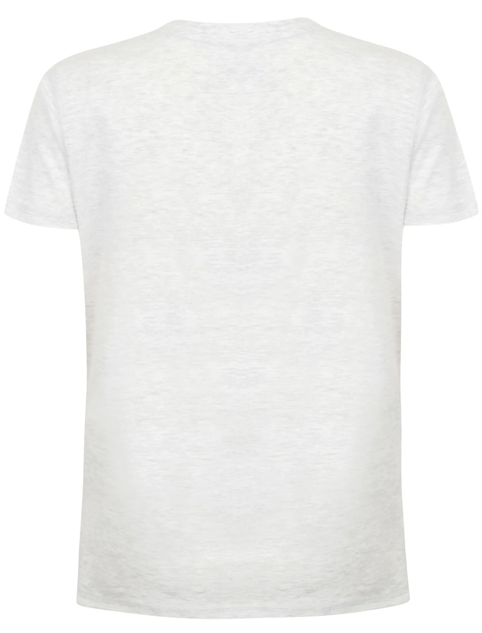 Keahi Cotton Jersey T-Shirt In Ice Grey Marl - Tokyo Laundry