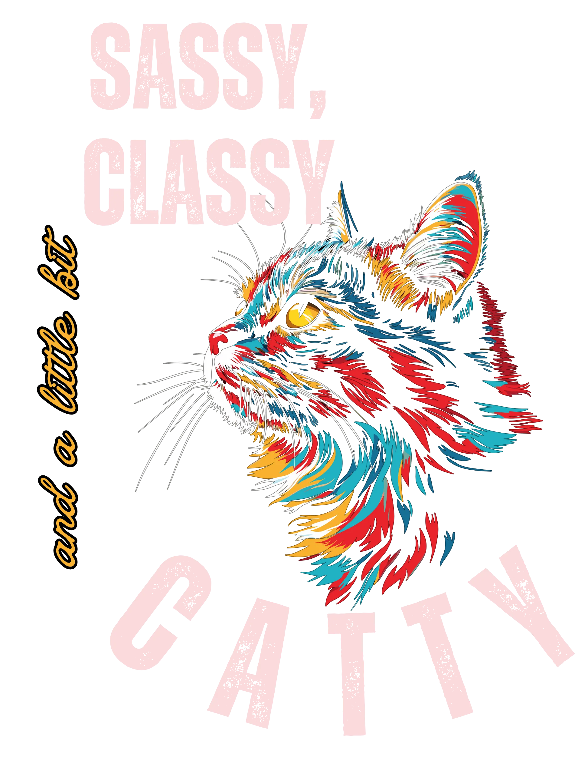 Sassy, Classy & a Little Bit Catty | Oversized Graphic Cotton T-Shirt